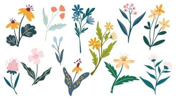 Summer wild flowers set. Floral botanical plants. Meadow and field herbs. Ideal for decoration, postcards, printing, weddings and the web. Vector illustration in hand drawn flat style isolated