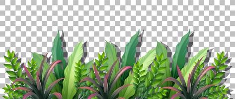 Grass and plants on grid background for decor vector