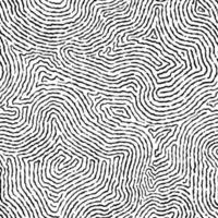 Seamless fingerprint image pattern vector