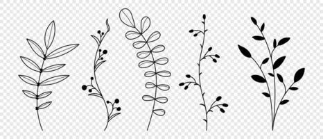 Set of vector plants and herbs. Hand drawn floral elements. Silhouettes of natural elements for seasonal backgrounds. Vector illustration