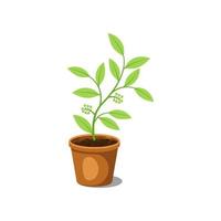 set of plants in pots, flat design vector. vector