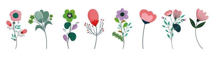 Set with various flat design flowers vector