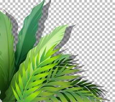 Tropical plant on background vector