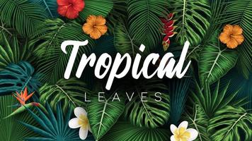 tropical plants