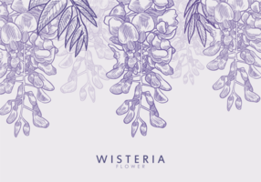 Free Hand Drawn Wisteria Flower Vectors