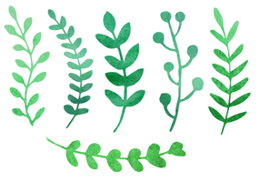 Watercolor Plants Vector